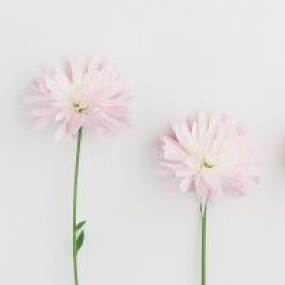 Meet your Posher, Kristina - Picture 1 of 1